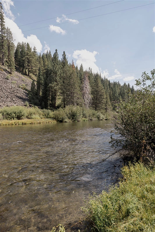 Truckee Interior Design